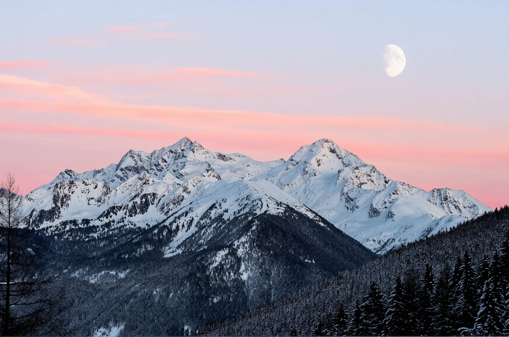 AI Photo Enhancement - Improve image quality before background removal